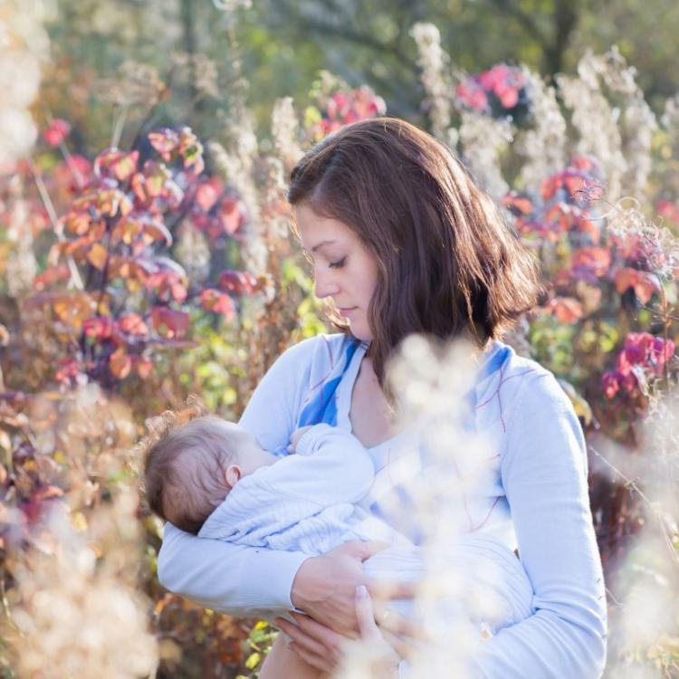 29528772 - young beautiful mother breastfeeding her baby in a meadow on a sunny day