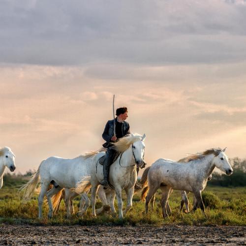 Młody kowboj przepędza grupę koni, aby sprowadzić je z powrotem na ranczo. (Fot. iStock)