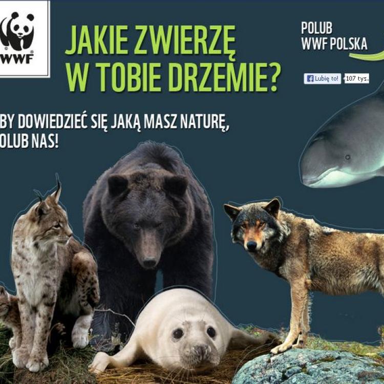 fot. materiały prasowe WWF Polska