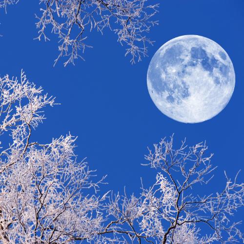 Pełnia Księżyca (Fot. Eerik/Getty Images)