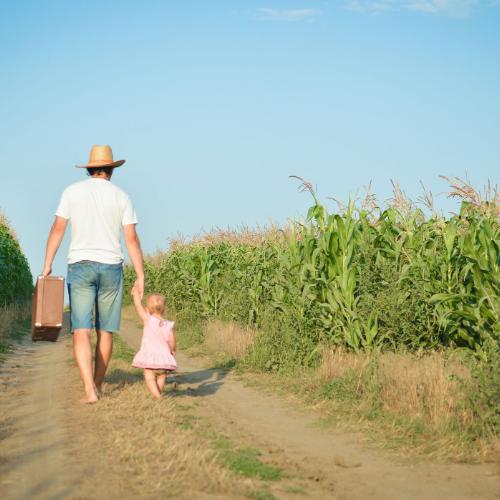 44653077 - man and babygirl walking away on road between corn field over blue sky outdoors background. backview of father carrying suitcase with daughter.