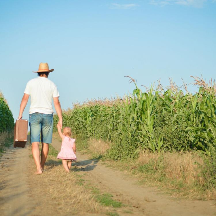 44653077 - man and babygirl walking away on road between corn field over blue sky outdoors background. backview of father carrying suitcase with daughter.