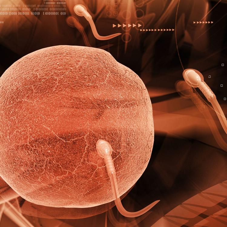 40237283 - digital illustration of  sperm  in colour  background