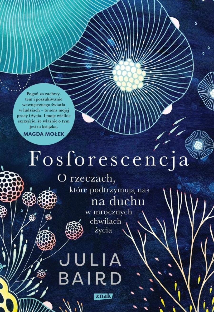 Polecamy książkę: „Fosforescencja” Julii Baird, wyd. Znak