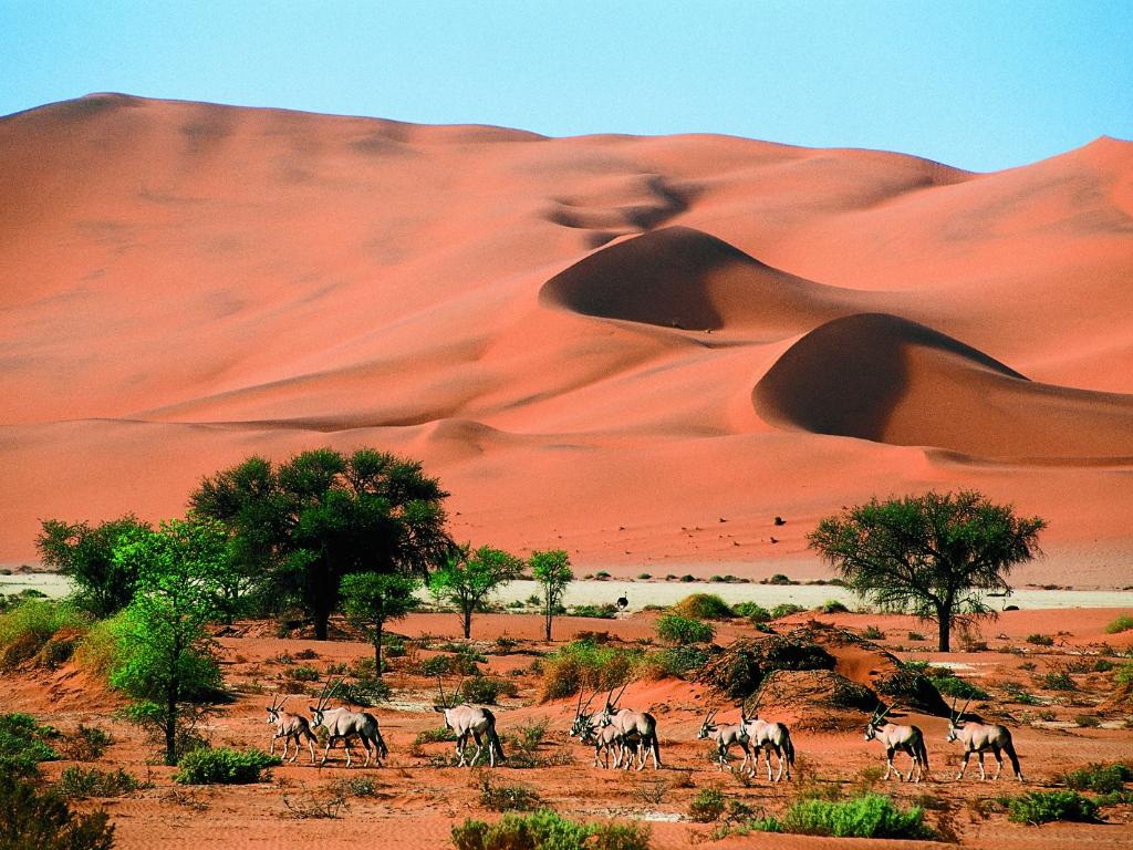  Wydmy w Namibii (Fot. materiały partnera)