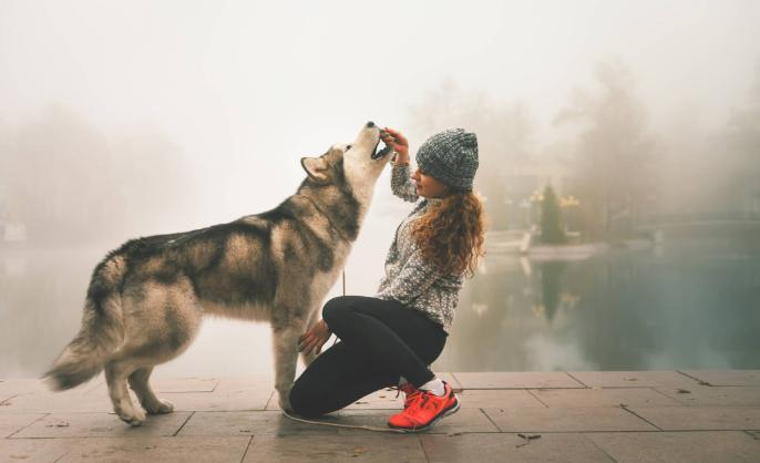  W Polsce najbardziej popularna jest dogoterapia, czyli terapia z udziałem psów. (Fot. iStock)