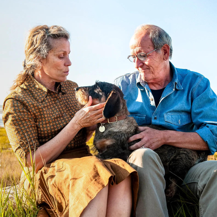 Frances McDormand i Richard Jenkins w serialu „Olive Kitteridge” (Fot. materiały prasowe)