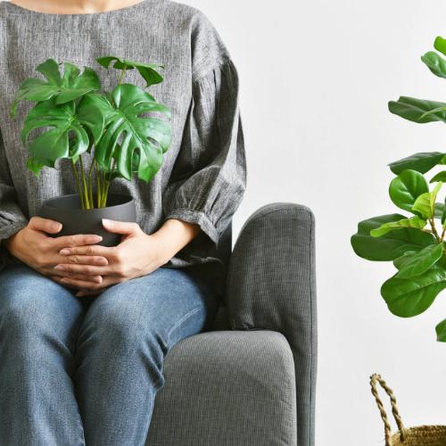 Plantswapp to nowa aplikacja, dzięki której możesz sprzedać, kupić lub oddać roślinę. (Fot. Getty Images)