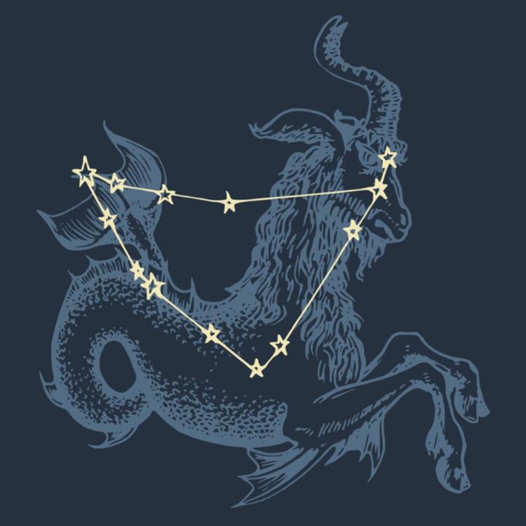 Horoskop 2024 Koziorożec (Ilustracja iStock)