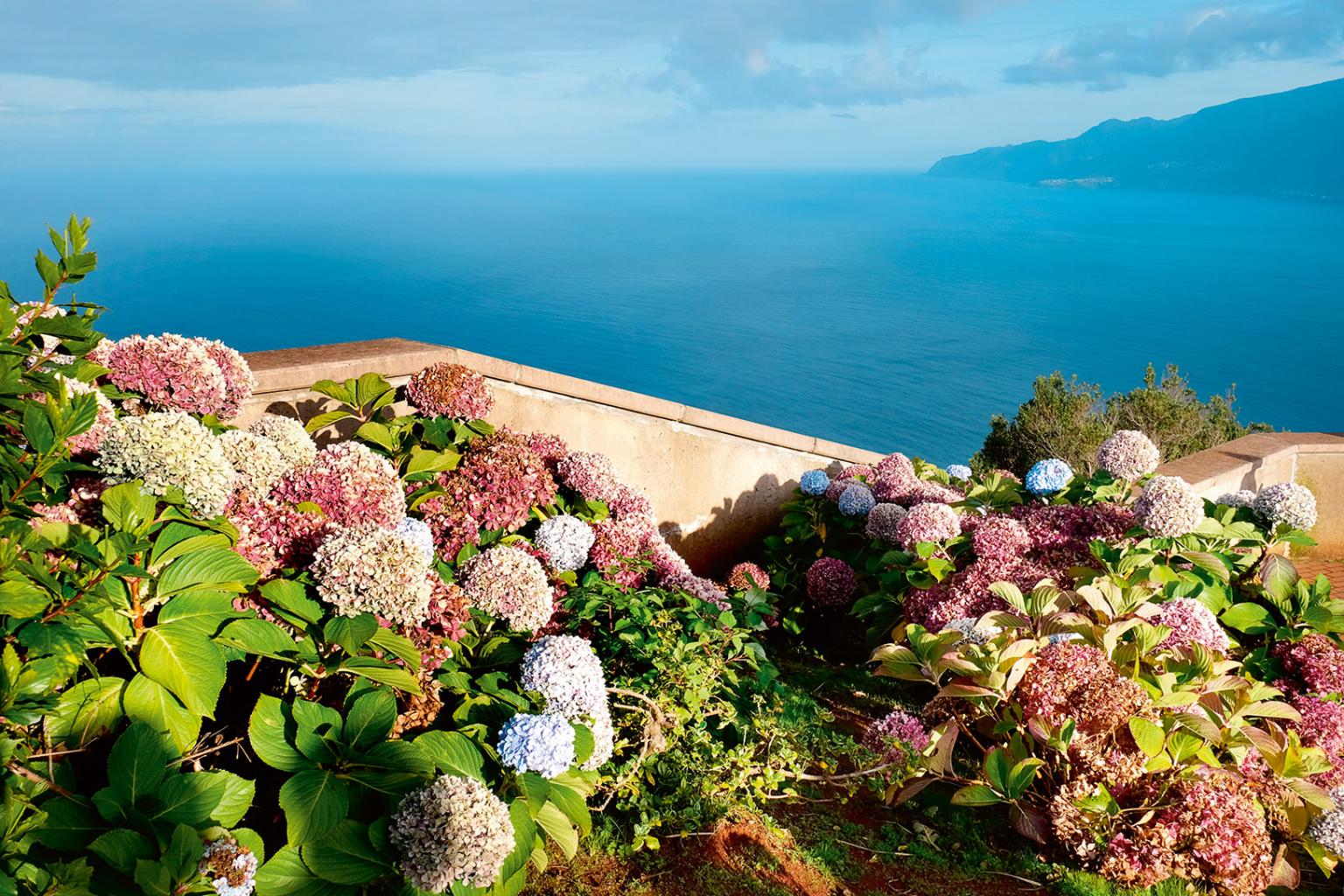 Madera jest nazywana wyspą kwiatów. Na przełomie kwietnia i maja odbywa się w Funchal Festiwal Kwiatów – Festa da Flor. (Fot. Anna Janowska)