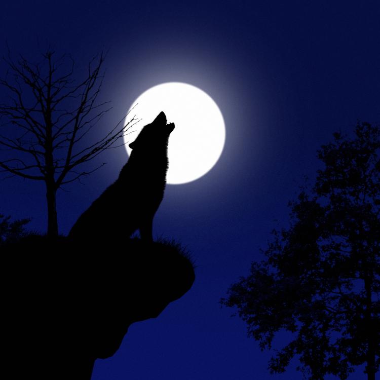 Pełnia Wilczego Księżyca sprawi, że pochłoną nas intensywne emocje. (Fot. iStock)