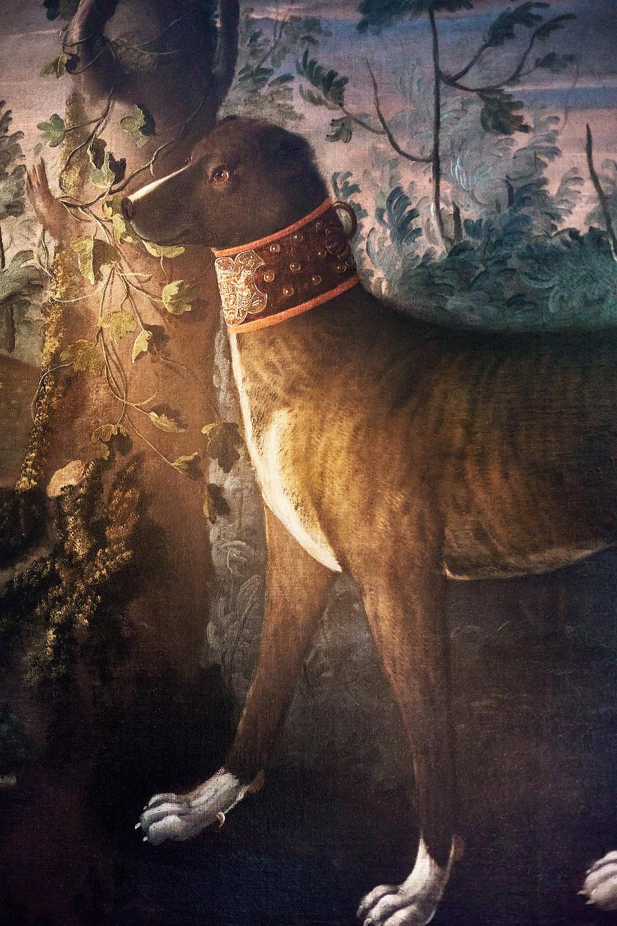 Obraz ze zbiorów Muzeum Narodowego we Wrocławiu – przedstawia ulubionego psa hrabiego Konrada Ernesta Maksymiliana von Hochberga – Trotzta. (Fot. proksaphotography.com)