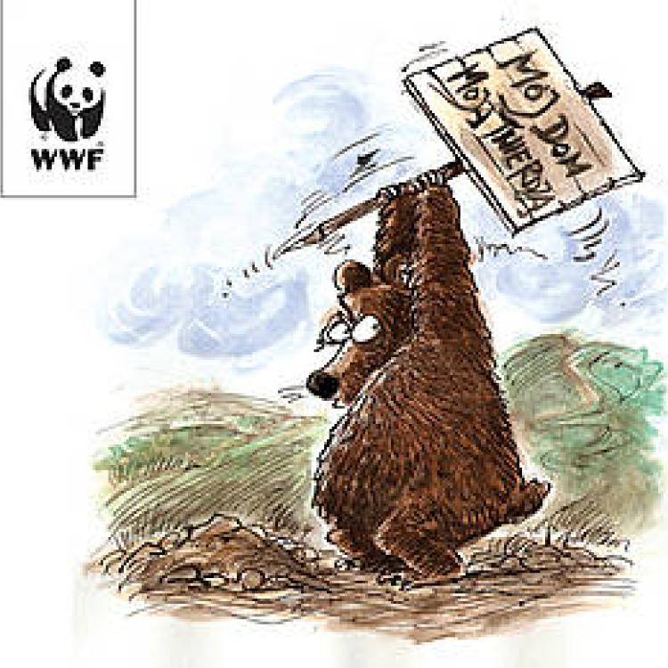 WWF POLSKA