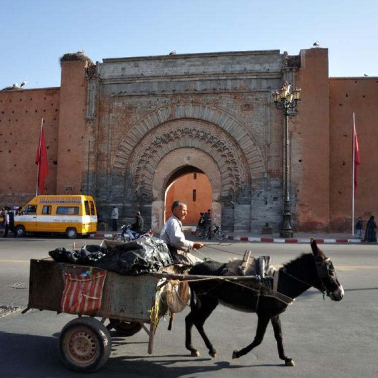123RF.com / Bab Agnaou - jedna z dziewiętnastu bram, Marrakesz