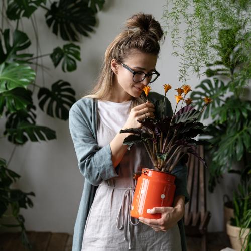 Rośliny dekorują, oczyszczają powietrze i dobrze wpływają na psyche. (Fot. iStock)