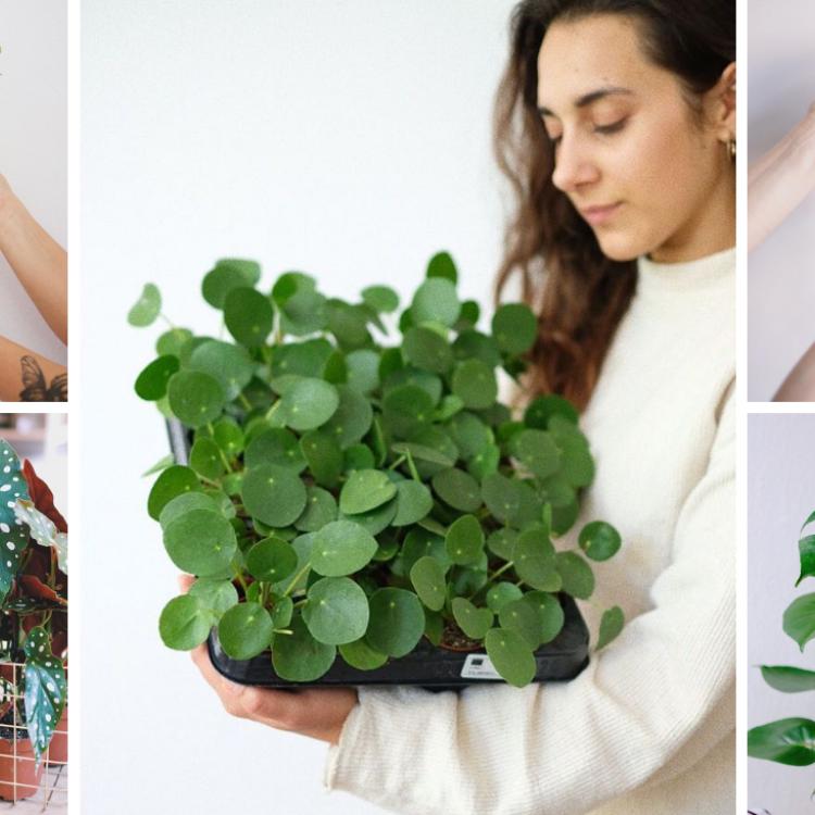 Dziewczyny z Projektu Rośliny, Ola Sieńko i Weronika Muszkieta,  wskazały swoje ulubione rośliny doniczkowe i przedstawiły sposoby ich pielęgnacji. (Fot. Projekt Rośliny)