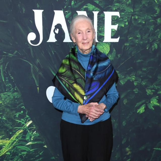 Jane Goodall (Fot. Steve Granitz/FilmMagic/Getty Images)