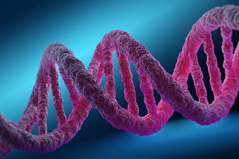 </a> Genom człowieka to pełna baza informacji, która wciąż jest przez naukę nieodkryta. (fot. Corbis/ Profimedia)