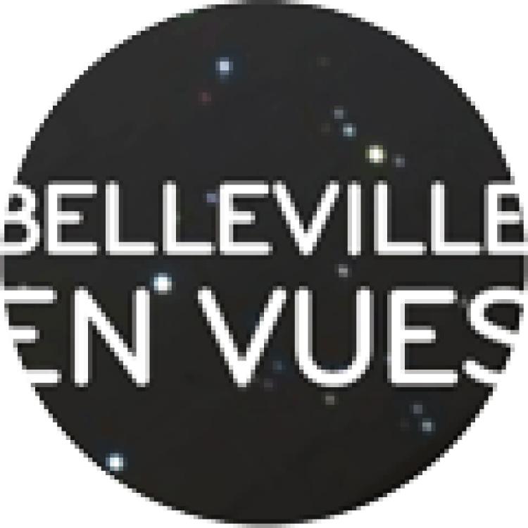 belleville-en-vues.org