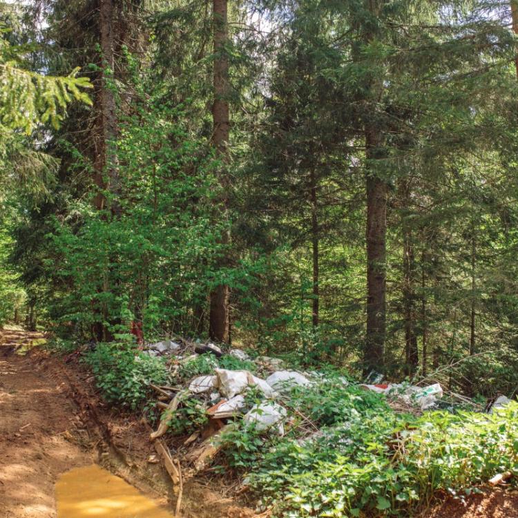 Minister Środowiska, Michał Woś zapowiedział zmiany dotyczące śmiecenia w lasach. (fot. iStock)