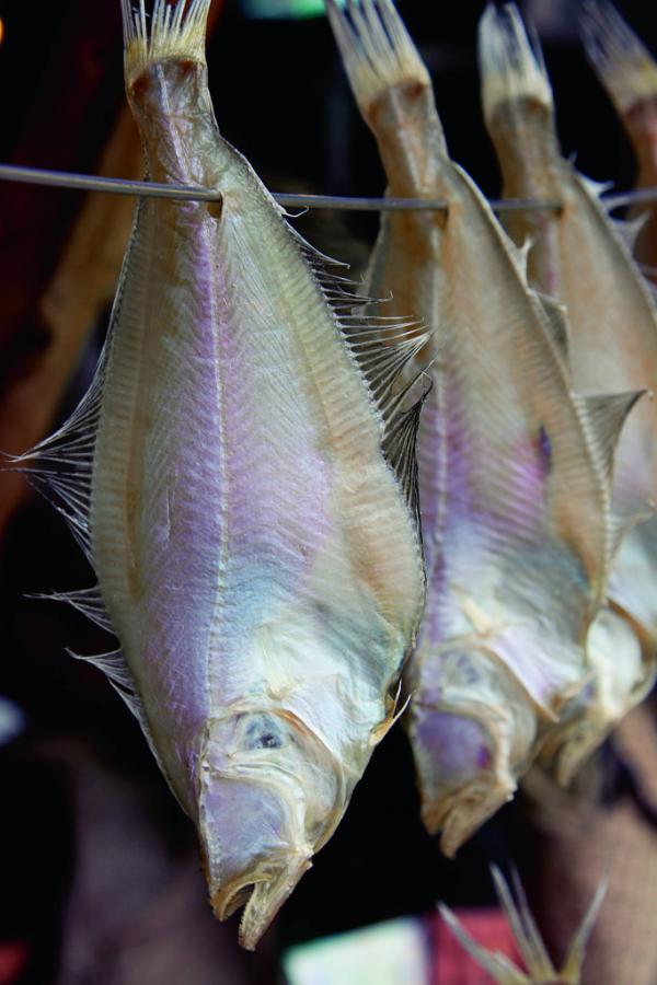  Zimowa kuchnia w Kinosaki to nie tylko śmieszny krab matsuba, ale i inne smakołyki prosto z morza. (Fot. Anna Janowska)