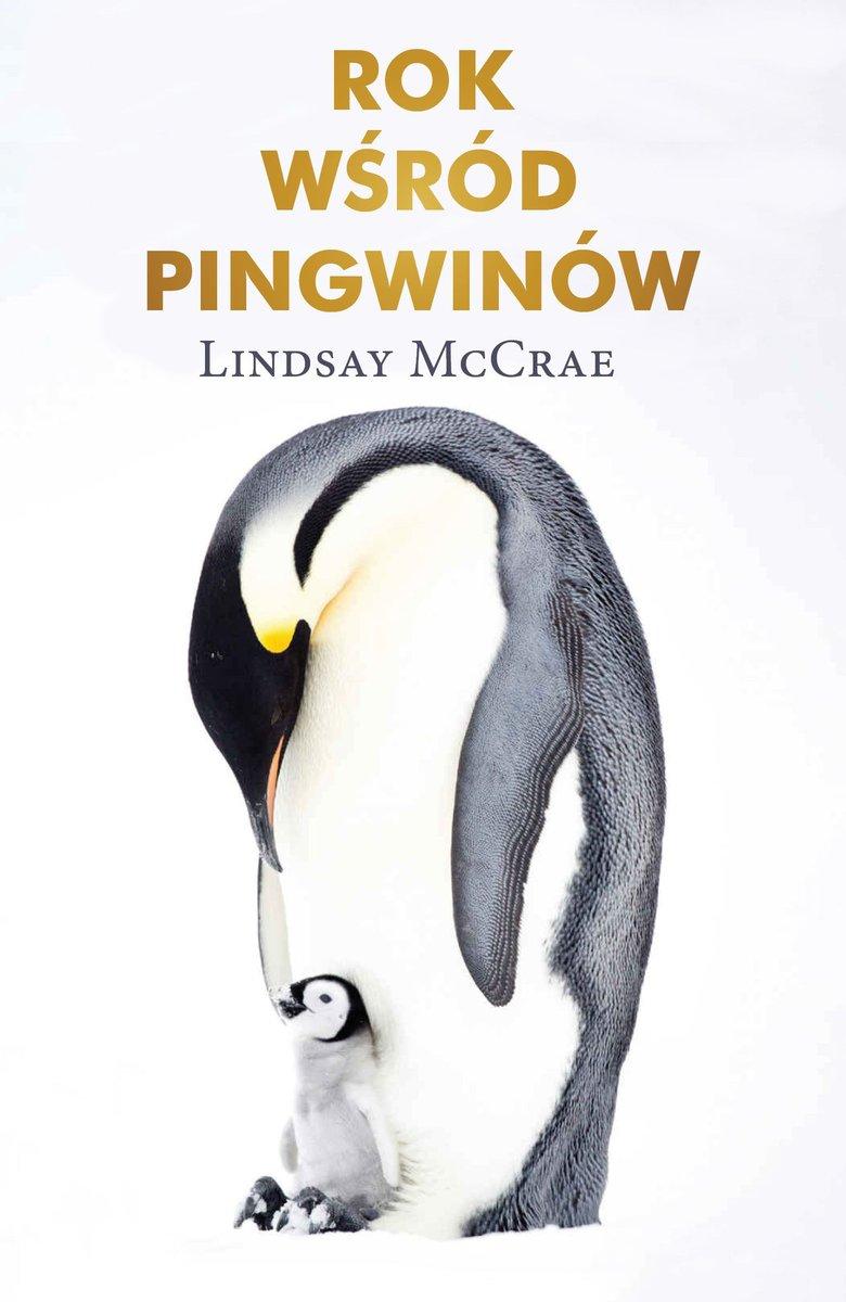  „Rok wśród pingwinów”, Lindsay McCrae, wyd. Prószyński i S-ka