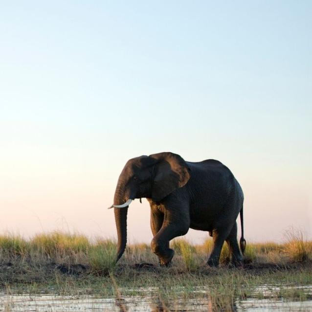 2011/11/zjadaj-słonia-po-kawałku-jak-metoda-małych-kroków-zmienić-życie-Projekt-bez-tytułu-2021-01-25T113257.996.jpg