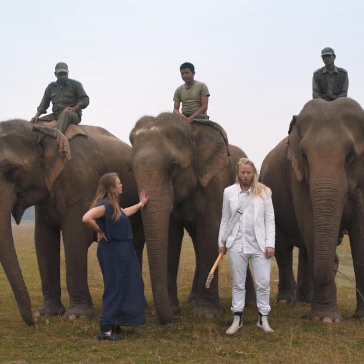 Kadr z filmu „Wyprawa na trzeci biegun – dwubiegunowy musical ze słoniami” prezentowanego na Millenium Docs Agaianst Gravity (Fot. materiały prasowe)