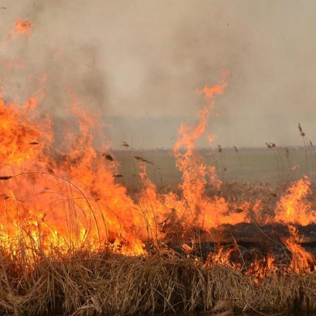 Pożar w Biebrzańskim Parku Narodowym strawił już obszar 3000 hektarów (Fot. Agnieszka Zach)
