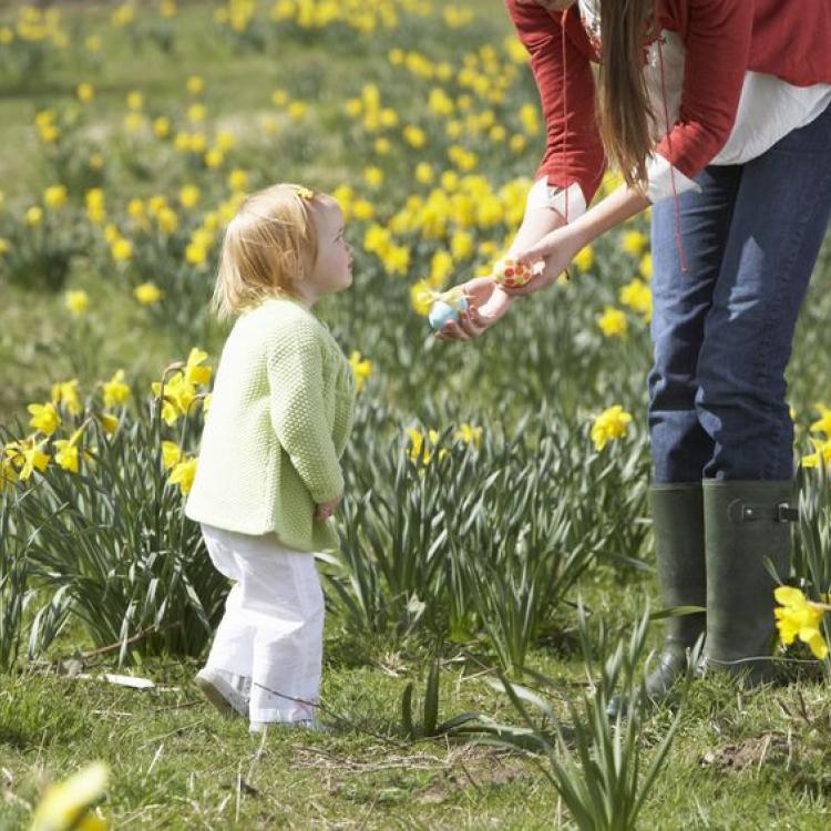 10199223 - mother and daughter in daffodil field with decorated easter eggs