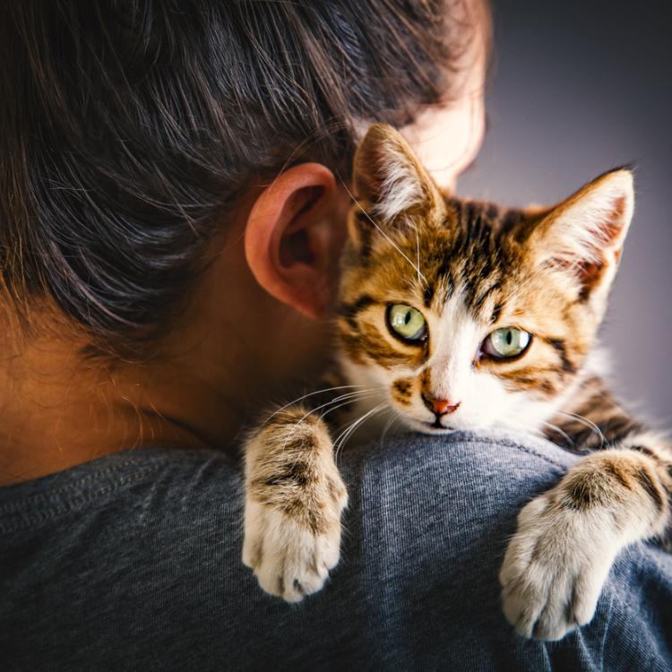 Jeśli znajdziesz w kocie przyjaciela, nigdy nie będziesz czuł się w domu samotny. (Fot. iStock)