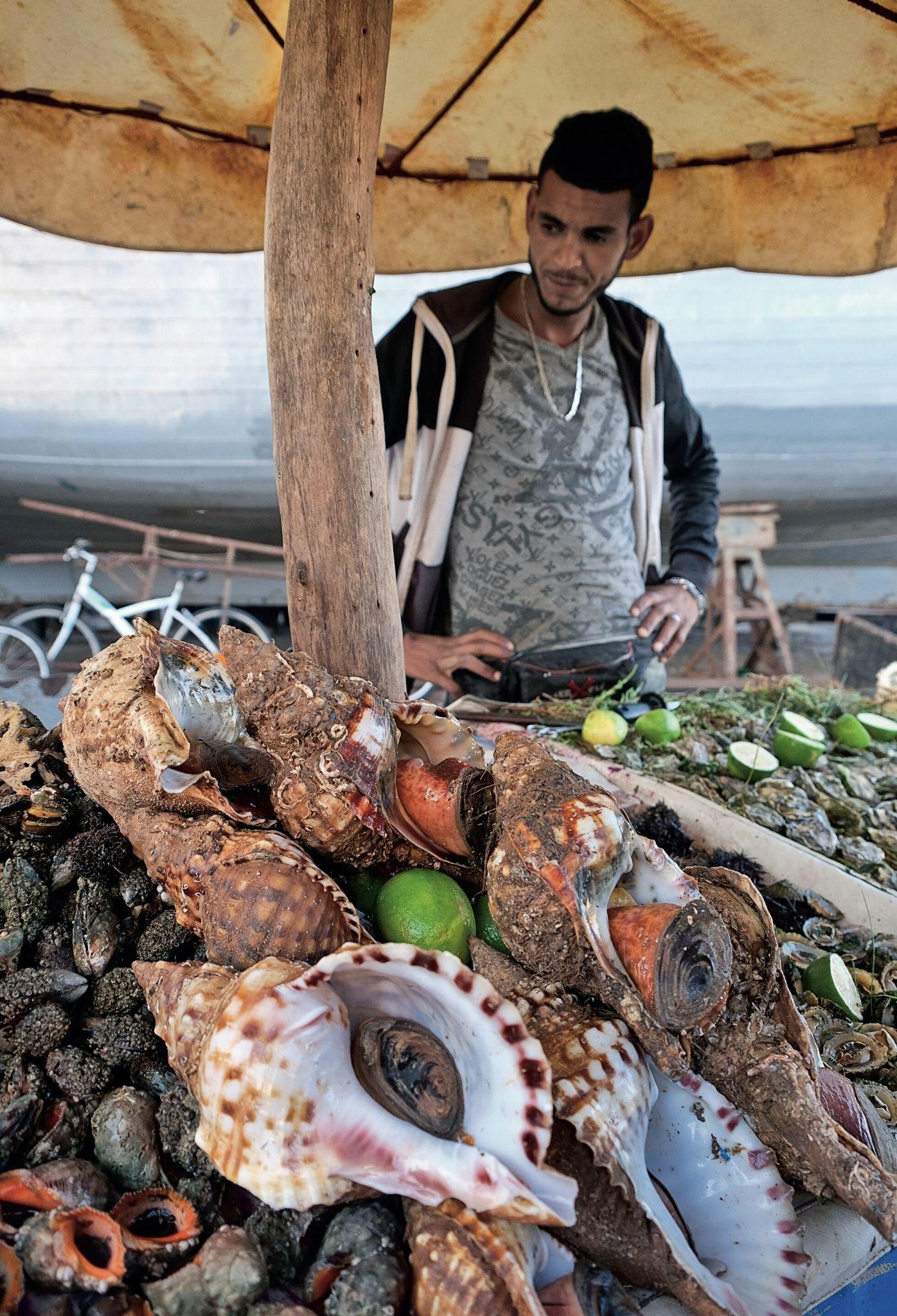  W porcie w Essaouirze można kupić to, co akurat się udało złowić miejscowym rybakom – od ślimaków, przez popularne tu sardynki, po małe rekiny. (Fot. Anna Janowska)