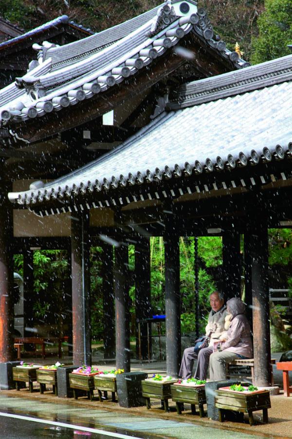  Wiosną Japończycy lubią kontemplować opadające płatki wiśni, zimą - spadające z nieba płatki śniegu. (Fot. Anna Janowska)