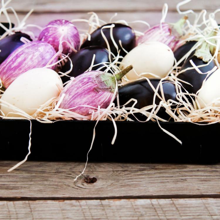 58177772 - fresh eggplants of different color on dark wooden background.