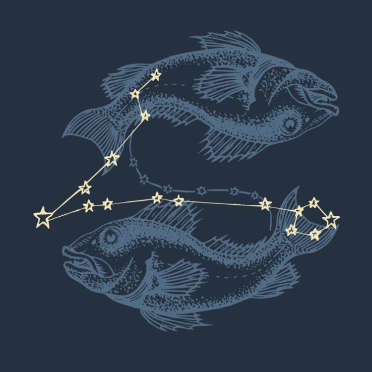 Horoskop 2023 Ryby (Ilustracja iStock)