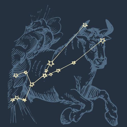 Horoskop - Byk 2023, Żywioł Ziemi, 21.04–20.05. (Ilustracja iStock)