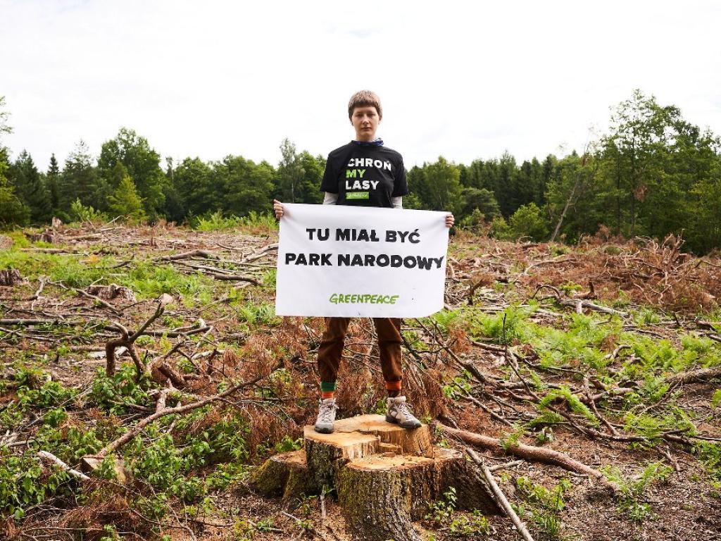 </a> Aktywiści Greenpeace domagają się ochrony starych lasów przed wycinkami. Zbierają podpisy pod petycją w tej sprawie na chronmylasy.pl. Zdjęcia wykonane tego lata w Puszczy Piskiej na terenie, gdzie miał powstać Mazurski Park Narodowy (fot. Max Zieliński)
