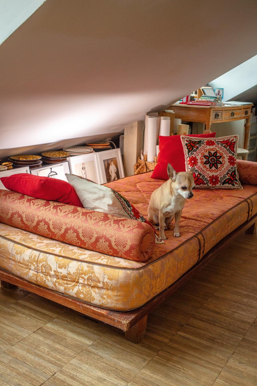 Secesyjna sofa to strefa relaksu. Na jej tapicerce wciąż widać ślady kota, ale teraz wypoczywa tu pies. (Fot. Robby Cyron)