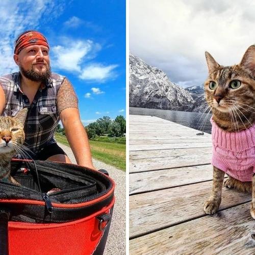 Szkot Dean Nicholson postanowił objechać rowerem świat razem z kotem, którego znalazł na górskim pustkowiu. (Fot. Instagram Deana Nicholsona @1bike1world)