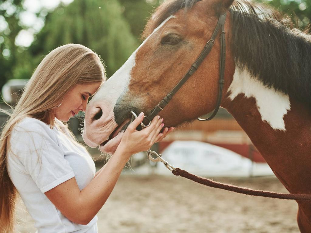  Konie to zwierzęta stadne, płochliwe, dostrzegają napięcie w ciele człowieka z kilkunastu metrów. (Fot. iStock)