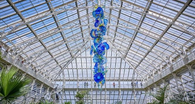 Regularnie w Królewskich Ogrodach Botanicznych Kew można podziwiać instalacje światowej sławy artystów. Na zdjęciu szklane rzeźby Dale Chihuly wkomponowane w krajobraz roślinny. Wystawa trwa do 26 października. (Fot. materiały prasowe)