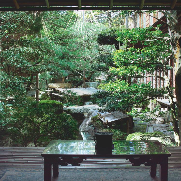 Wewnętrzny ogród w najstarszym w Kinosaki, ponad 150-letnim, zajeździe Nishimuraya jest zielony nawet w środku zimy. Zaprojektowano go tak, by cieszył oczy gości, sprzyjał kontemplacji i relaksowi, idealnie uzupełniając kąpiele w gorących termalnych źródłach. (Fot. Anna Janowska)
