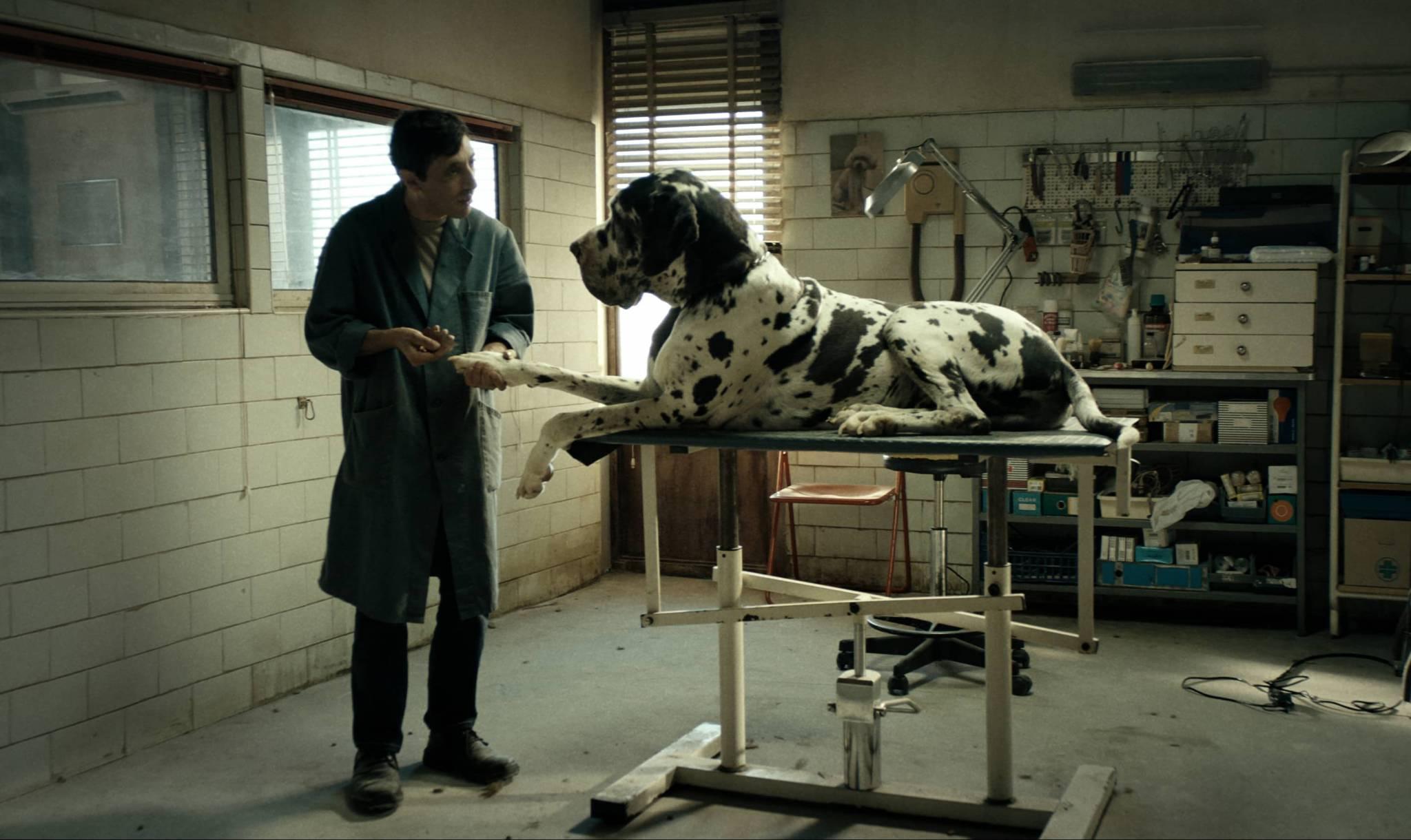 „Dogman”, reż. Matteo Garrone, 2018 (Fot. materiały prasowe)