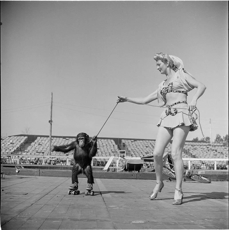 Kobieta z cyrku i małpa na wrotkach, 1948 (Fot. Stanley Kubrick)