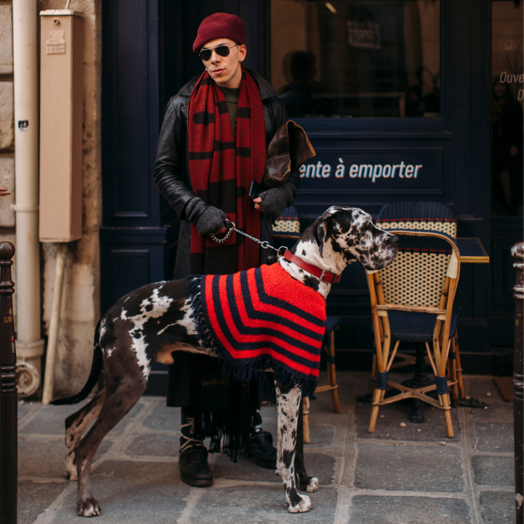 Paris street style jesień–zima 2023 (Fot. Spotlight. Launchmetrics/Agencja FREE)