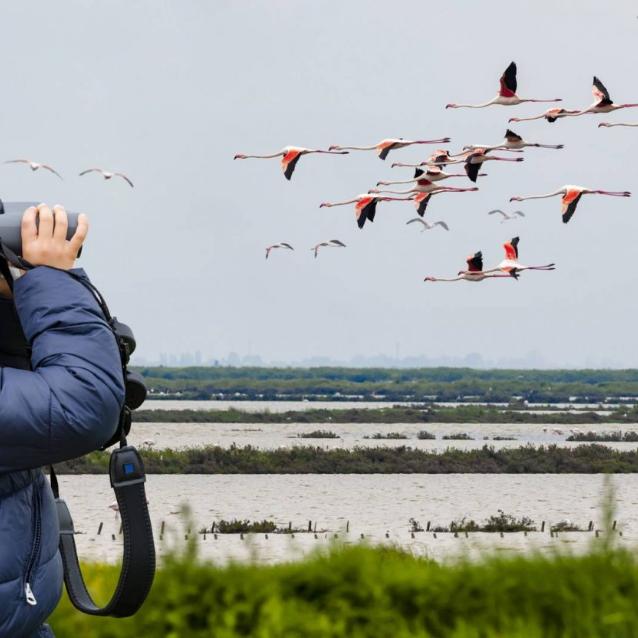 Ptasiarstwo to hobby na cały rok, a nawet na całe życie. (Fot. iStock) 