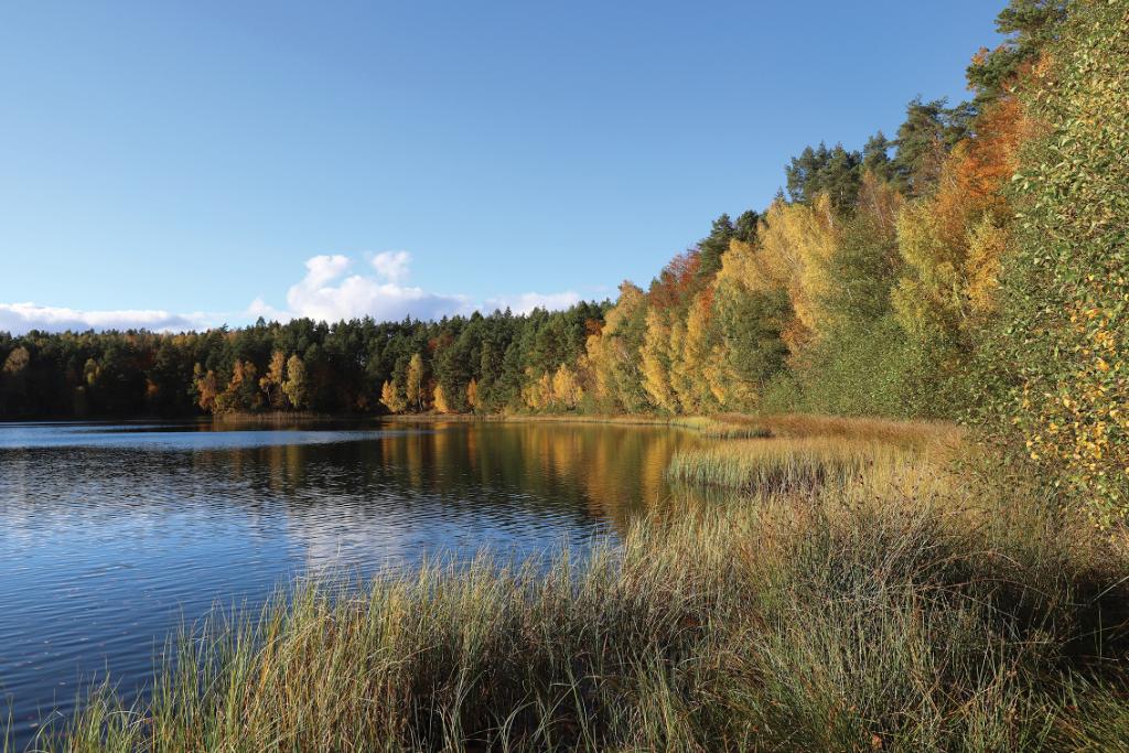 Pojerzerza Iławskie, Jezioro Jasne (Fot. Magdalena Dziadosz)