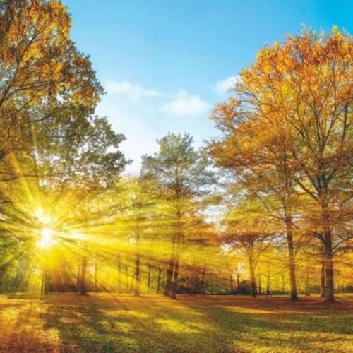 Brak światła słonecznego jesienią i zimą może być dla niektórych poważnym problemem i nasilać sezonowe obniżenie nastroju. (Fot. iStock)