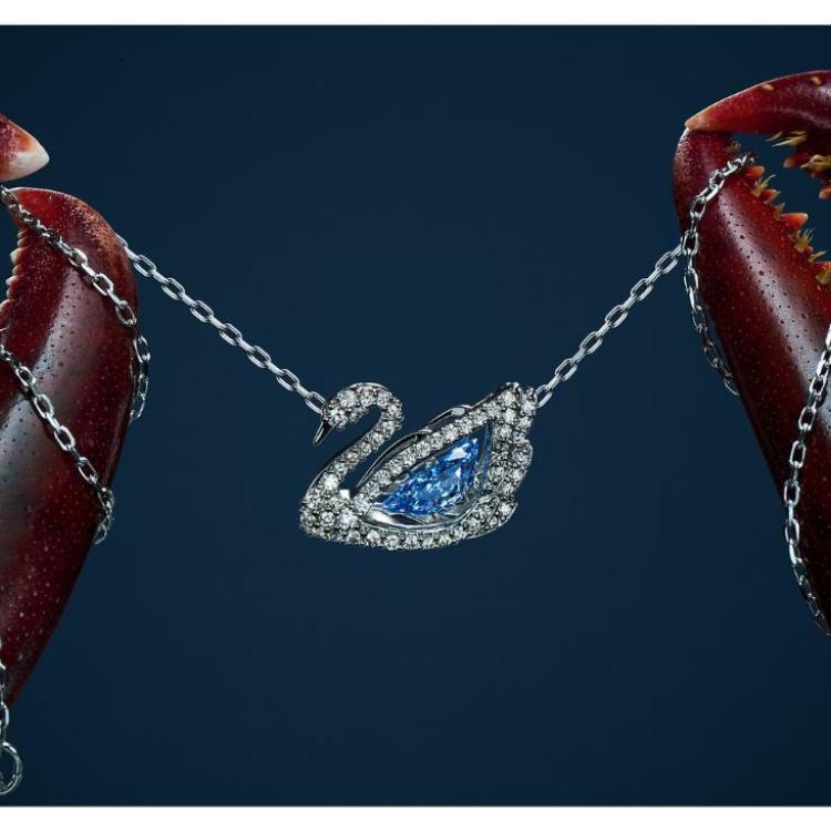 Kryształy Swarovskiego w niesamowitych ujęciach: Mariusz Tokajuk (fot. materiał partnera)