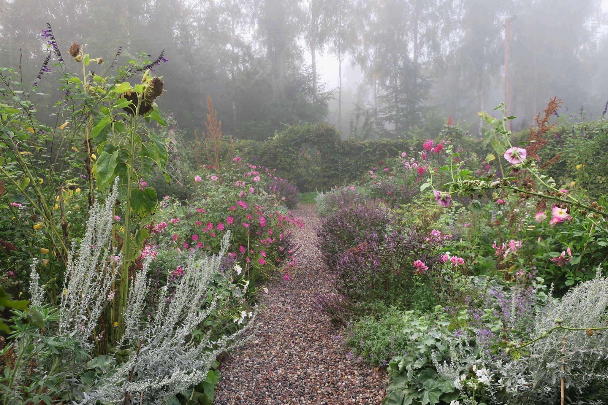  Łąka i ogród spowite w mgły wyglądają magicznie. (Fot. Katarzyna Bellingham)